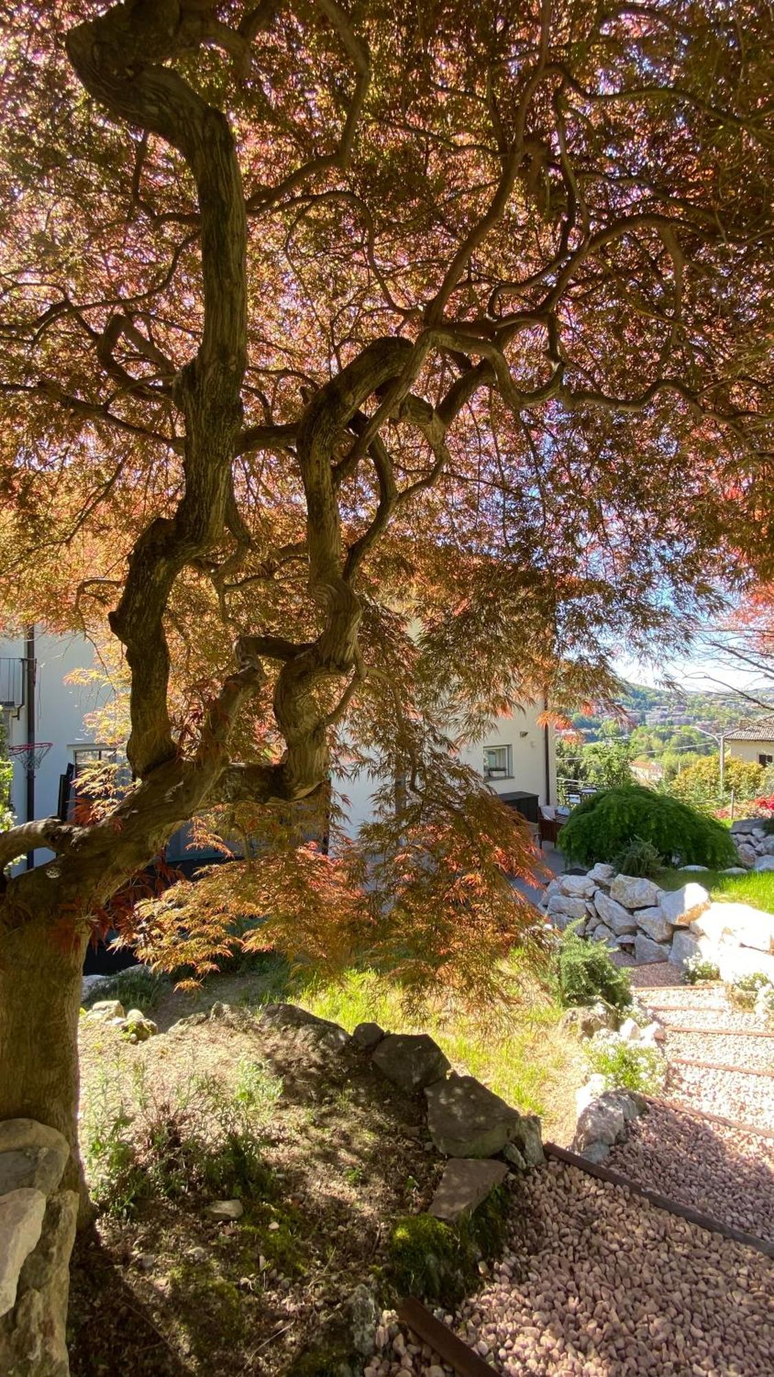 I Faggi Rossi - Red Beech Trees Villa Комо Екстериор снимка